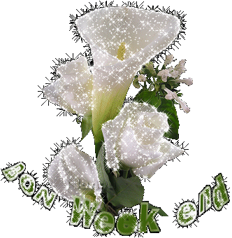 *** BUON WEEK END A TUTTI *** - 21/04/2012
