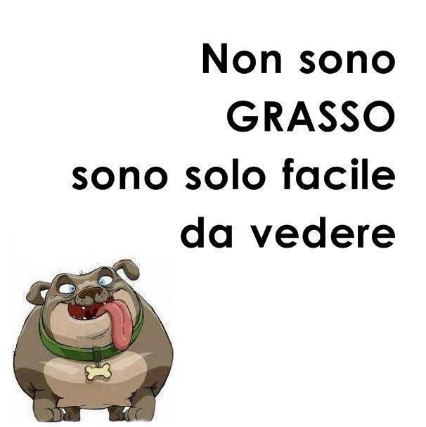 Immagine Divertente - 14/02/2013