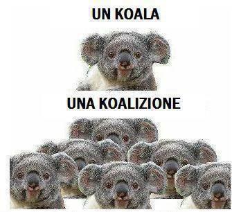 Immagine Divertente - 27/02/2013