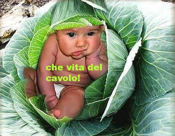 Immagine Divertente - 04/03/2013