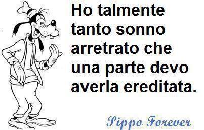 Immagine Divertente - 05/03/2013