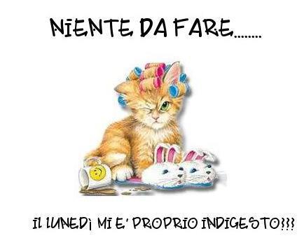 Immagine Divertente - 11/03/2013