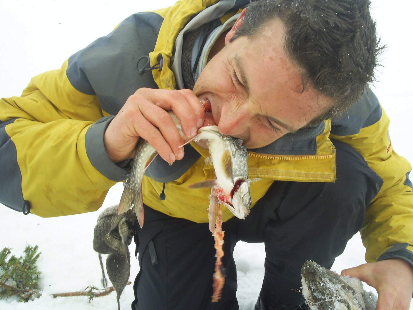 VUOLE VIVERE PER UN ANNO COME BEAR GRYLLS, MUORE DOPO UN MESE - 12/03/2013