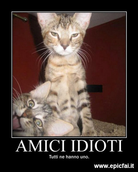 Immagine Divertente - 25/03/2012
