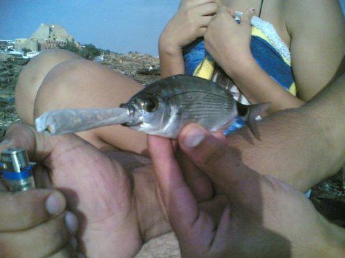 Immagine Divertente - 01/04/2012