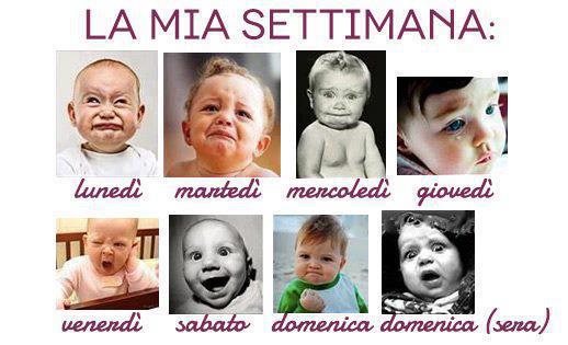 Immagine Divertente - 14/02/2013