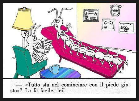 Immagine Divertente - 15/03/2013