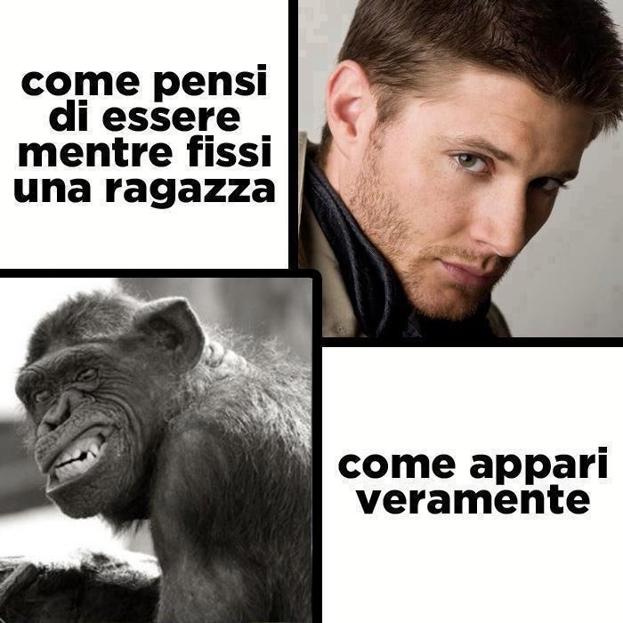 Immagine Divertente - 18/03/2013