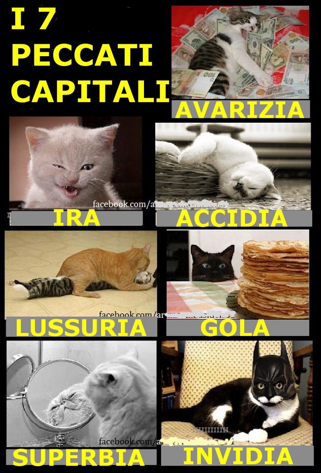 SCEJO ER TUO !! - 17/05/2012