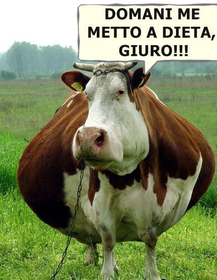 DOMANI ME METTO A DIETA !! - 25/03/2012