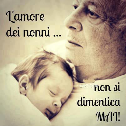 Immagine Divertente - 14/02/2013