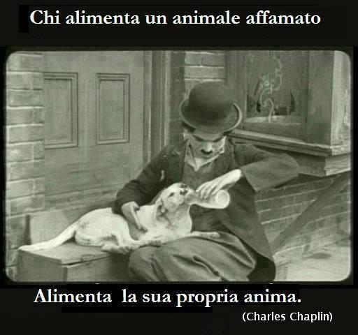 Immagine Divertente - 27/02/2013