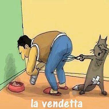 Immagine Divertente - 03/03/2013