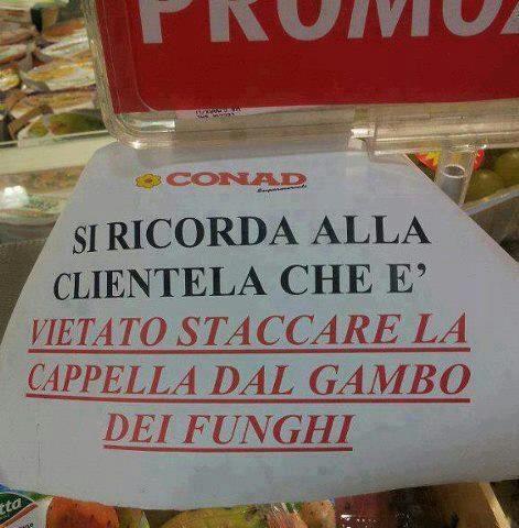 Immagine Divertente - 07/03/2013