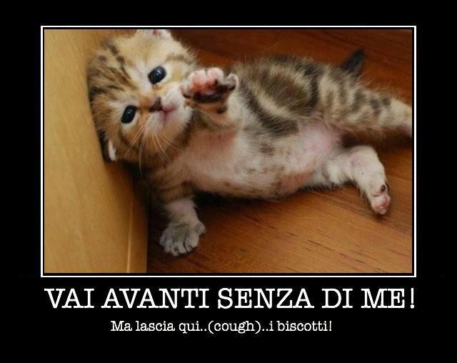 Immagine Divertente - 13/03/2013