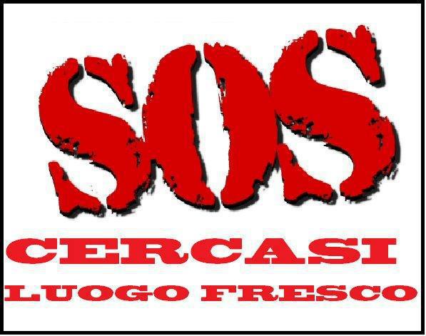 A.A.A. CERCASE !! - 15/07/2012