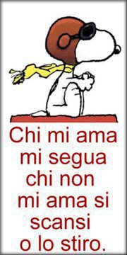 Immagine Divertente - 18/03/2013