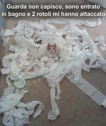 NUN E' COME PENSI !! - 09/10/2012