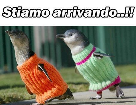Immagine Divertente - 23/01/2013