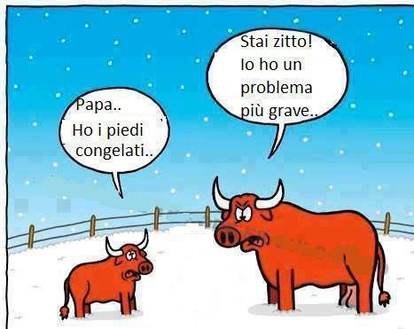 NUN LO DI A ME !! - 10/12/2012