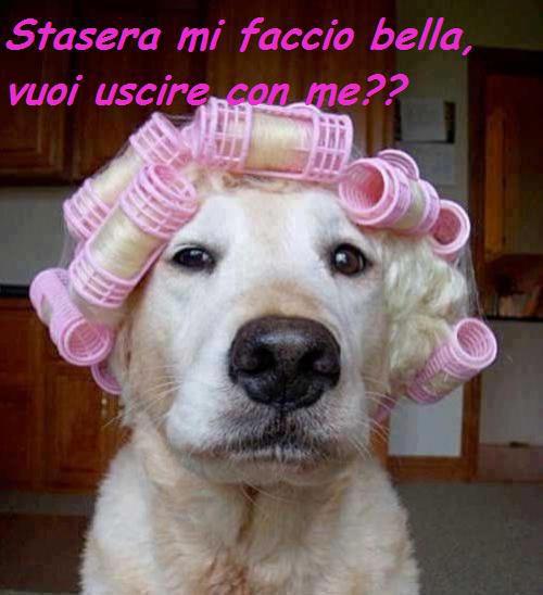 Immagine Divertente - 31/01/2013