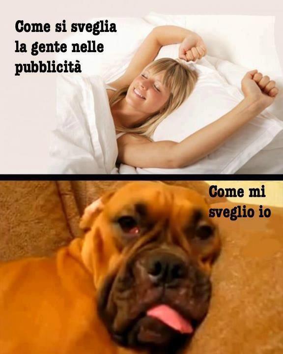 Immagine Divertente - 14/04/2013