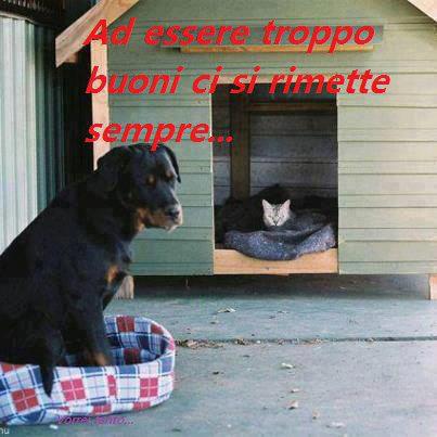 NUN CE SO' DUBBI !! - 14/04/2013