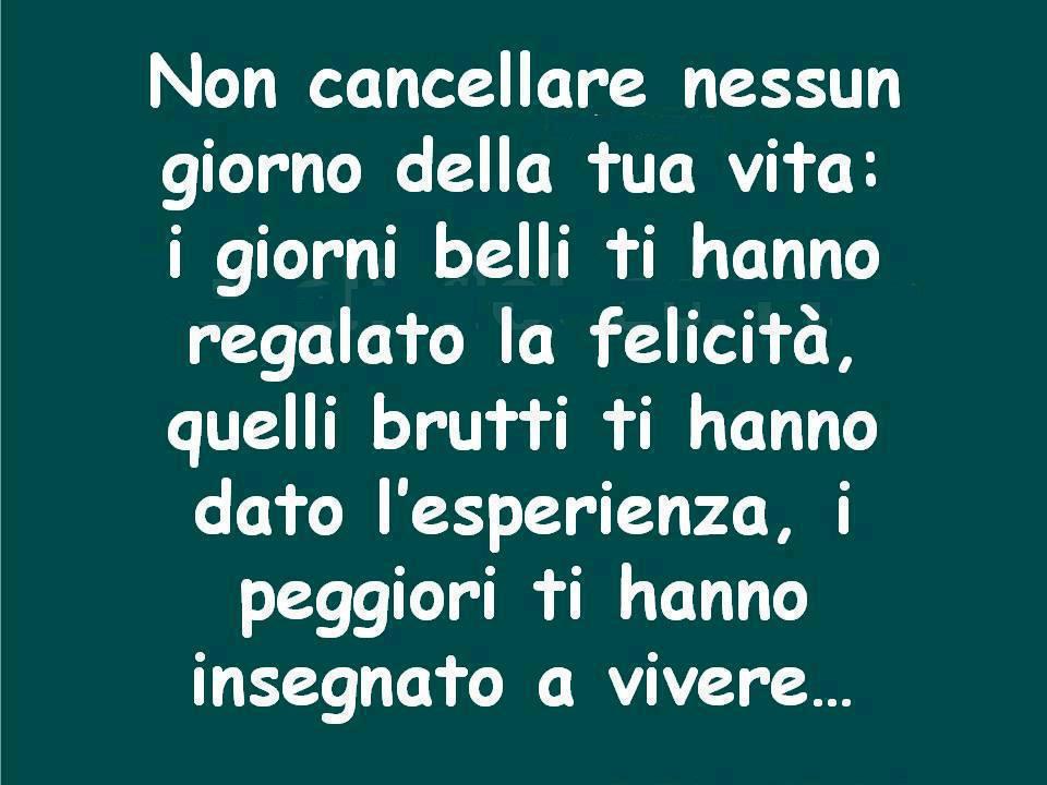 Immagine Divertente - 04/05/2013