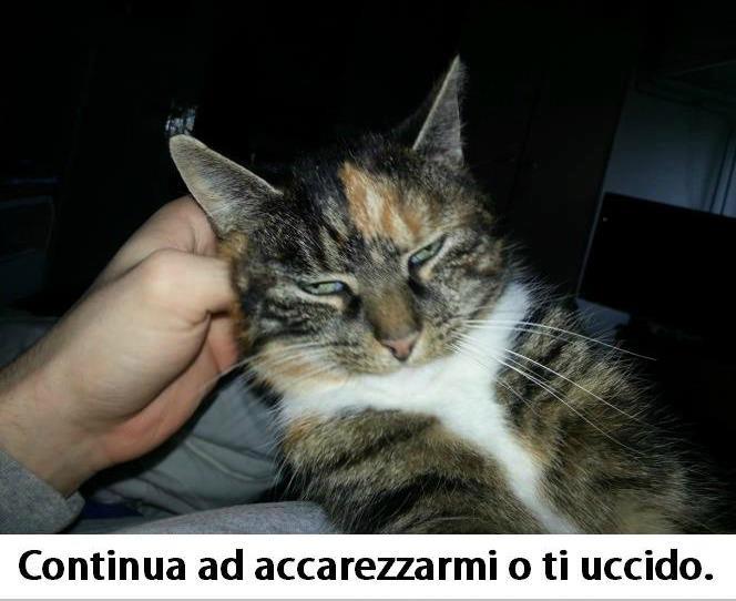 Immagine Divertente - 05/05/2013