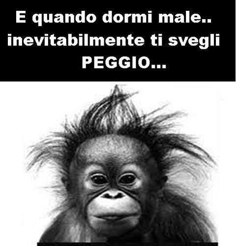 Immagine Divertente - 05/05/2013