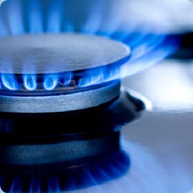 CON LA BOLLETTA DEL GAS PAGHI ANCHE UN'ASSICURAZIONE PER TE E PER I TERZI - 28/01/2014
