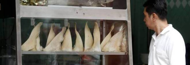 ROMA, PESCE AVARIATO AL RISTORANTE CINESE TRE PERSONE DENUNCIATE - 24/09/2014