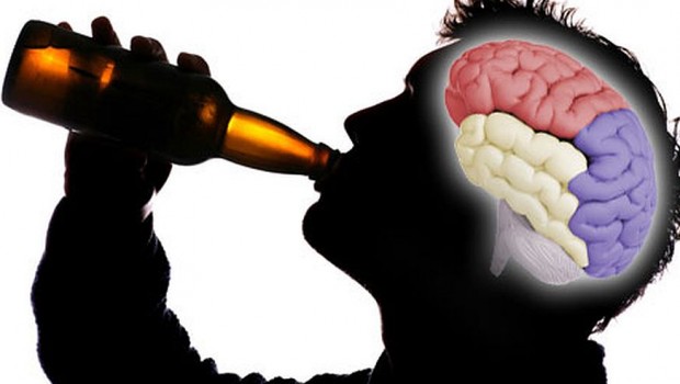 SE BEVI BIRRA TI CONVIENE LEGGERE QUESTO. ECCO COSA SI E' SCOPERTO SULLA BIRRA - 25/01/2017