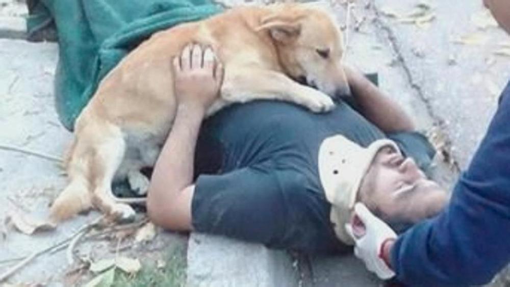 IL PADRONE CADE DALLA SCALA E RESTA A TERRA. IL CANE LO ABBRACCIA FINO ALL'ARRIVO DEI SOCCORSI - 19/05/2017