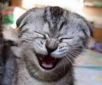 MA PERCHE' INVECE DE STA' SEMPRE A POLEMIZZA'... 'NA BELLA RISATA NUN TE SAI FA' ?! - 16/03/2012