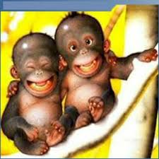 DUE AMICI SE FERMANO A PARLA' !! - 17/03/2012