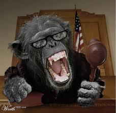 IO NERVOSO?! ... E' SOLO 'N IMPRESSIONE !! - 17/03/2012