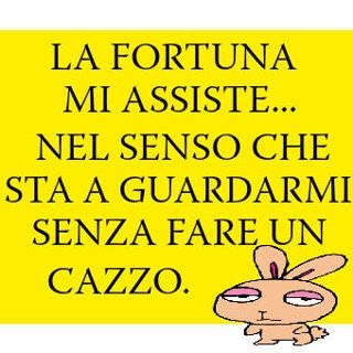 Immagine Divertente - 30/04/2012