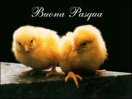 BUONA PASQUA !! - 01/03/2012