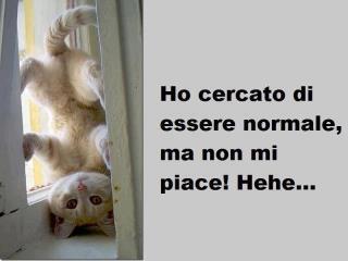 'A NORMALITA' NUN ME PIACE !! - 02/06/2012