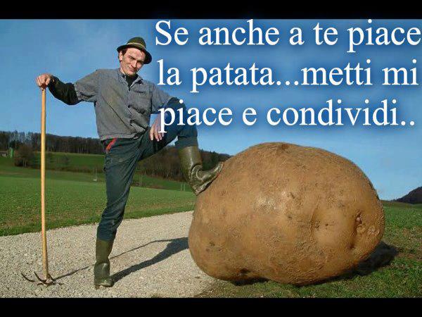 Immagine Divertente - 02/07/2012