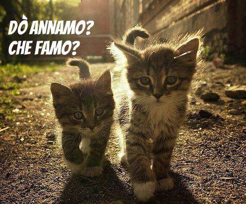CHE VOLEMO FA' ?! - 31/07/2012