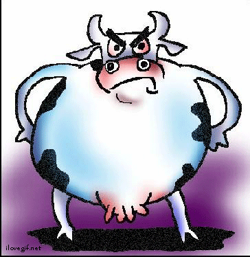 QUANNO STO ZITTO 'E COSE SO' DUE: O STO A PENSA' O SO' ARRABBIATO !! - 07/05/2012