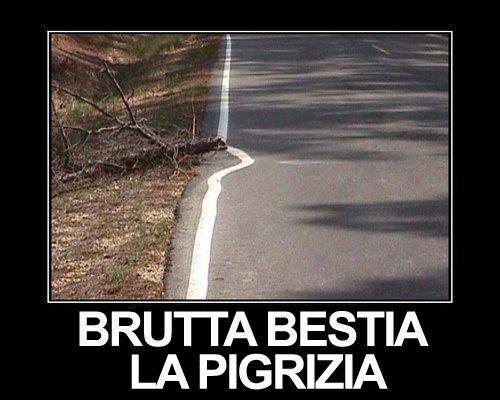 'NA BRUTTA BESTIA !! - 13/10/2012
