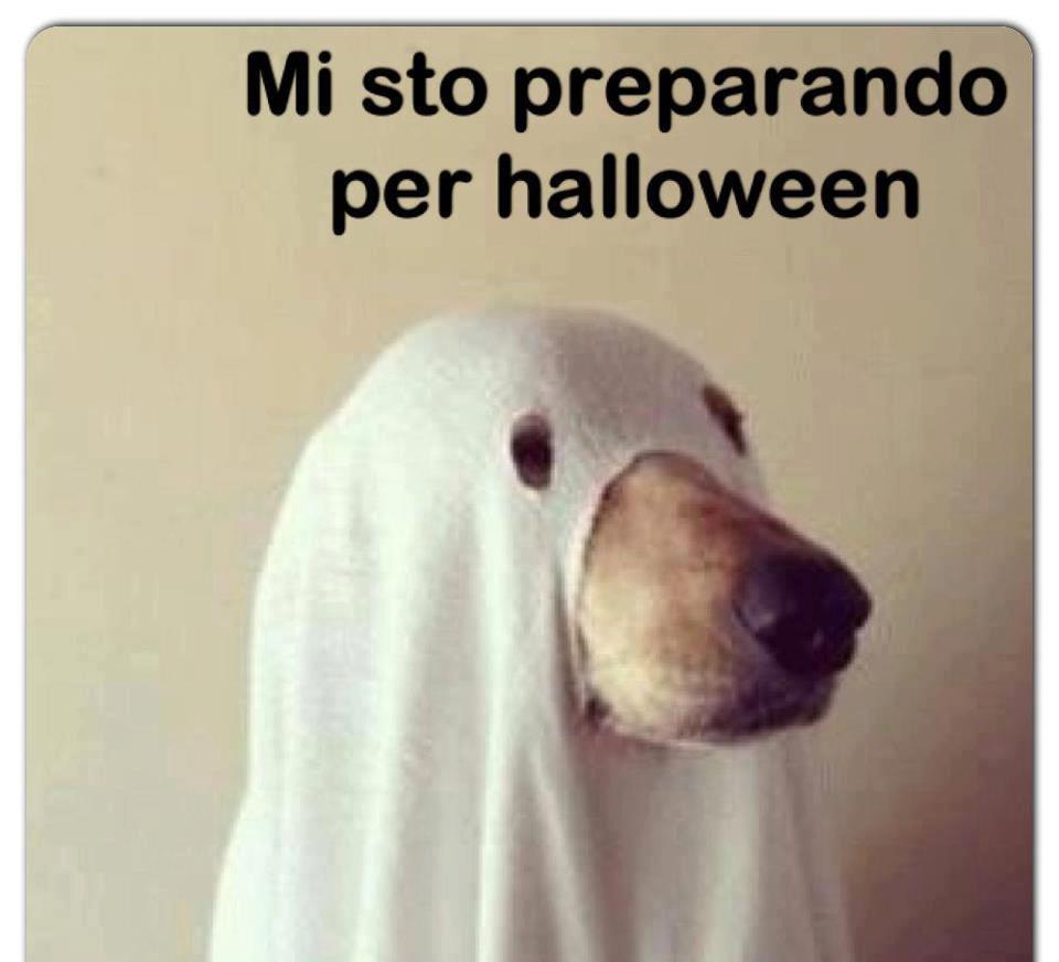 NUN TE POI SBAJA' !! - 25/10/2012