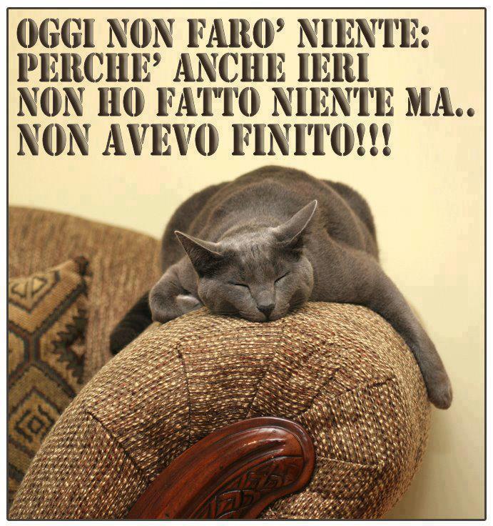 NUN ME VA !! - 04/11/2012