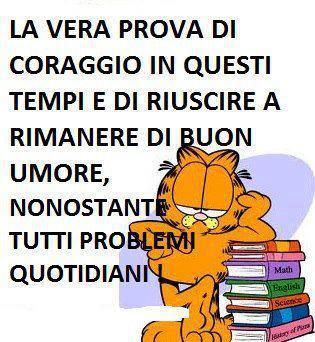 Immagine Divertente - 08/12/2012