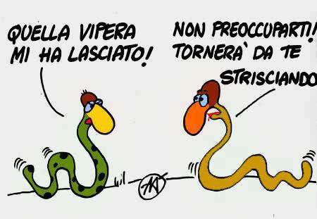 Immagine Divertente - 13/12/2012