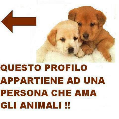 SO' IO !! - 04/01/2013