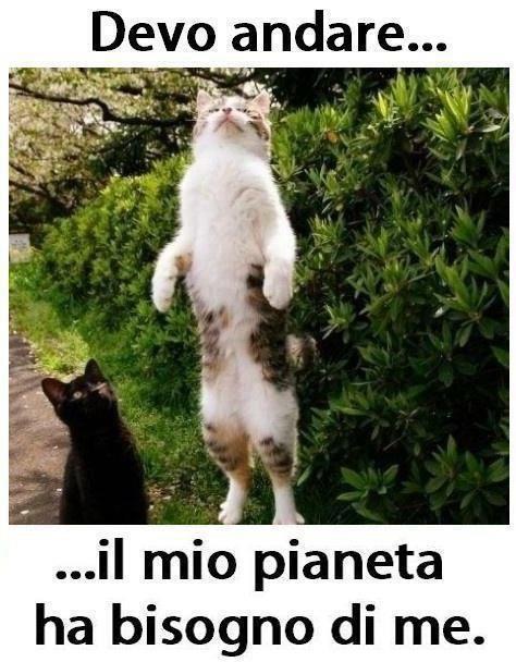 ME NE DEVO ANNA' !! - 04/01/2013